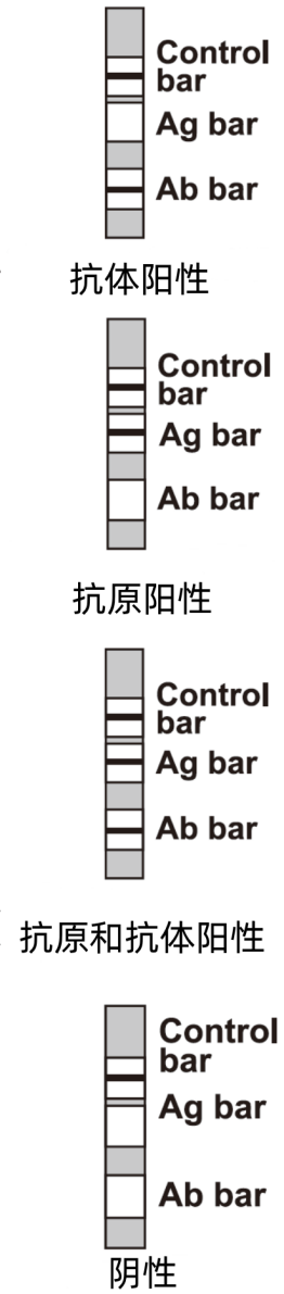 雅培4代HIV检测试纸说明书