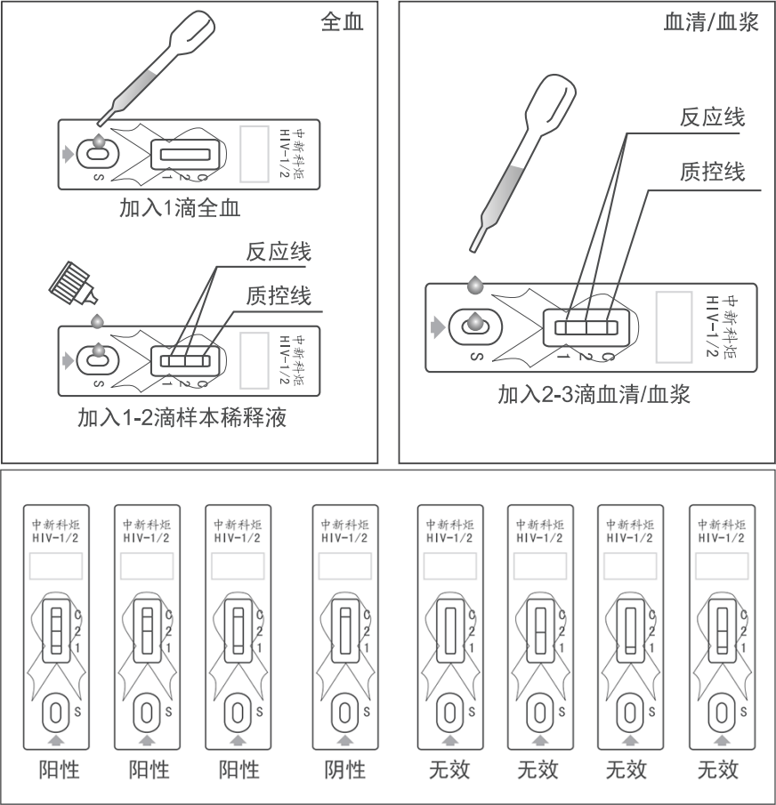 中新科炬3线HIV检测试纸说明书