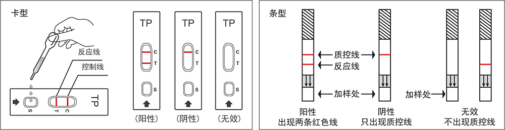 中新科炬梅毒检测试纸说明书